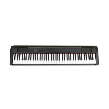 Echord DP-1