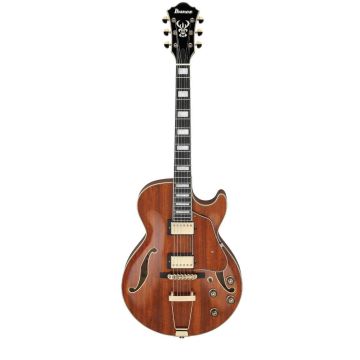 Ibanez AG95KNT