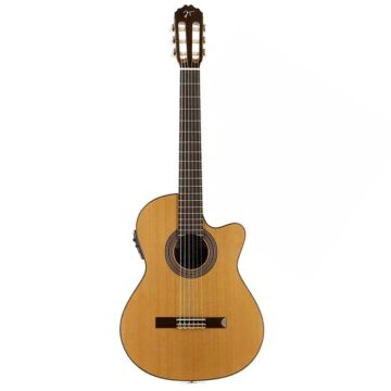Jose' Torres JTC-20CE 