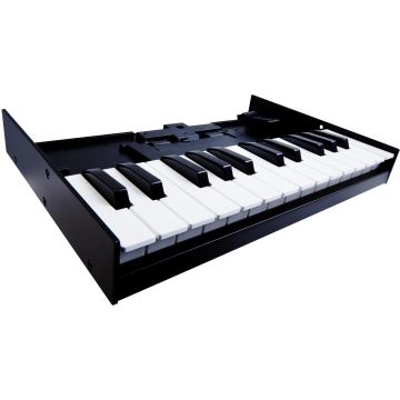 K25M