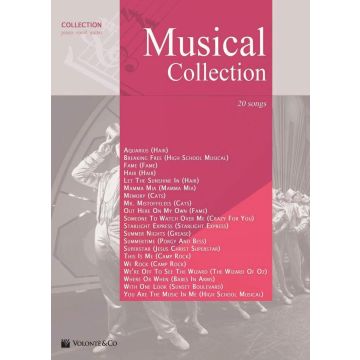 Musical Collection  piano, voce, chitarra 20 canzoni