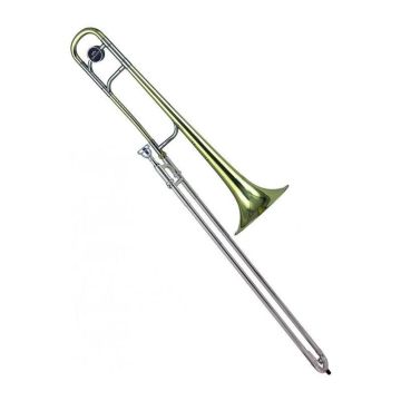 Trombone tenore Roy Benson TT-227 laccato con custodia