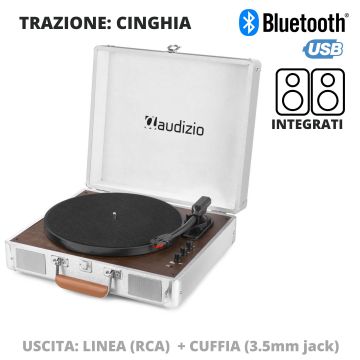Audizio RP320