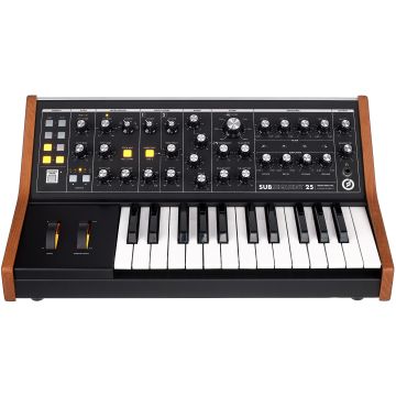 Moog SUBSEQUENT 25