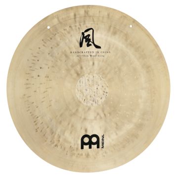 Wind Meinl Sonic Energy 22" WG-TT22
