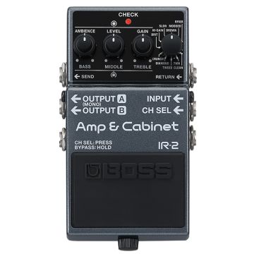 Boss IR-2 Amp & Cabinet