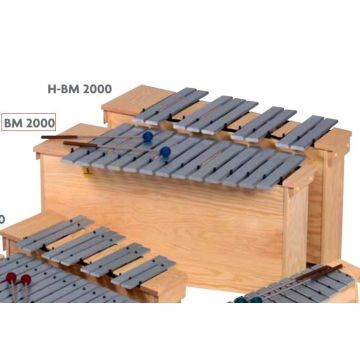 AM2000