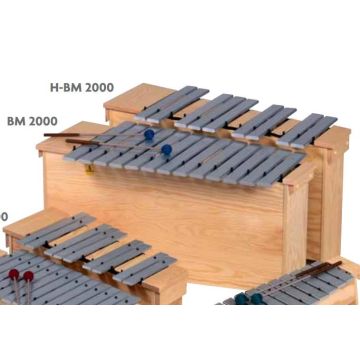 BM2000