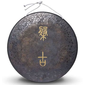 Energy 22" Gong Terra