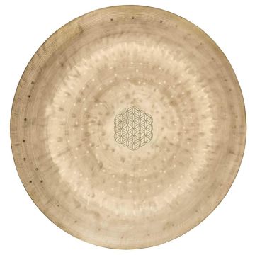 Meinl Sonic Energy WGFOL12