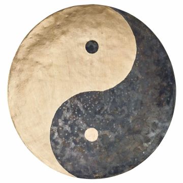 Meinl Sonic Energy WGYY12