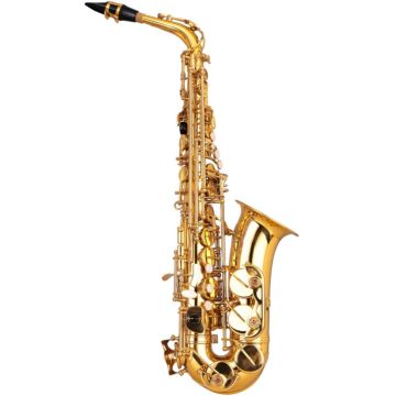 Sax alto ZO ZAS-1000 laccato con chiave del F#