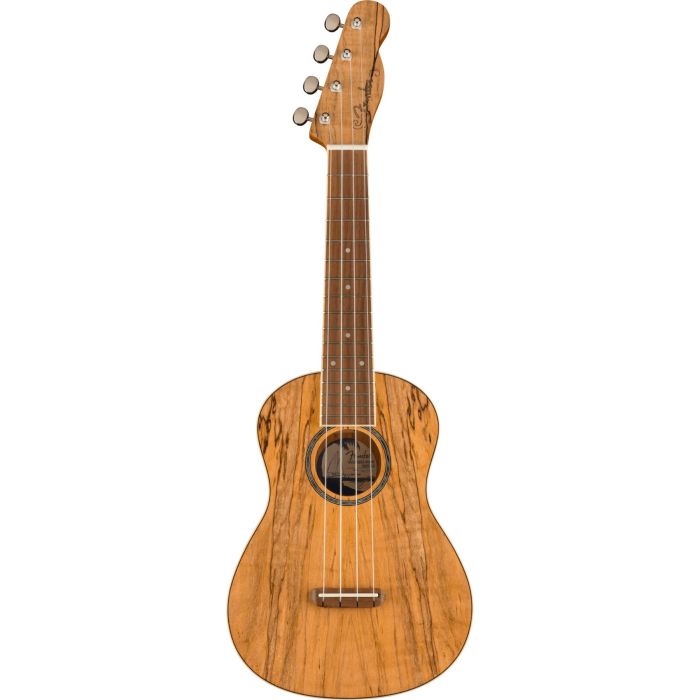 Fender Zuma Ukulele Concert Uke Spalted Maple main product photo