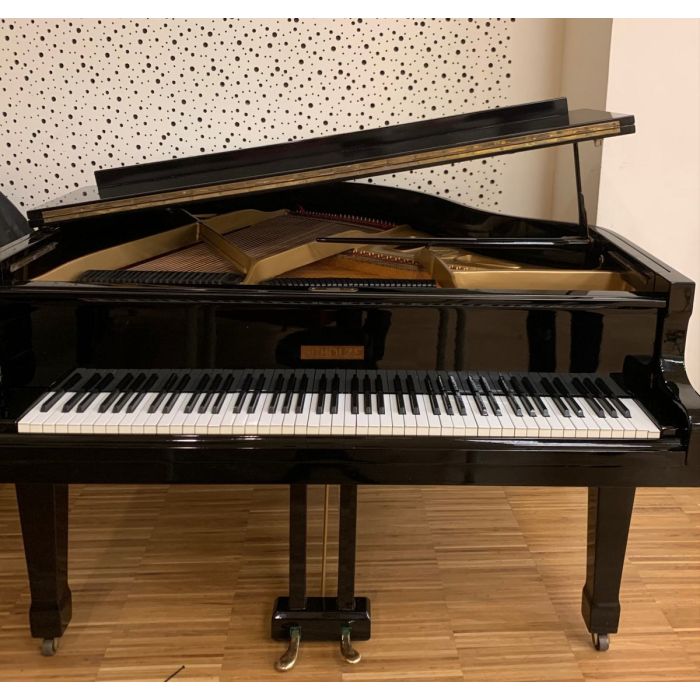 SCHOLZE USATO main product photo
