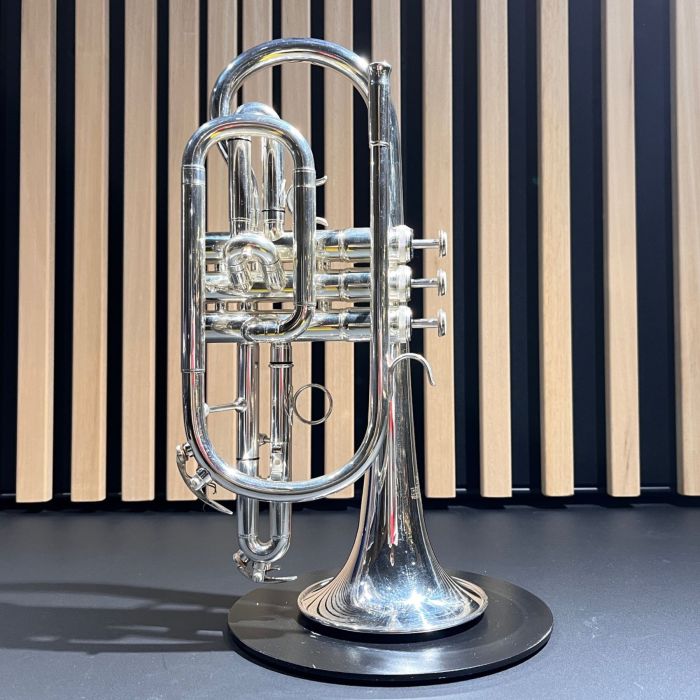 CORNETTA ROY BENSON CR202 SILVER+CUSTODIA USATA main product photo