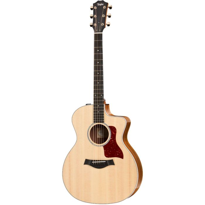 Taylor 214CE DLX Grand Auditorium con custodia main product photo