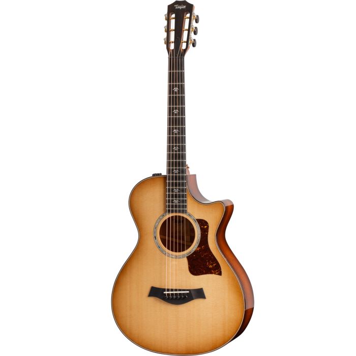 Taylor 512ce 12-Fret Urban Ironbark main product photo