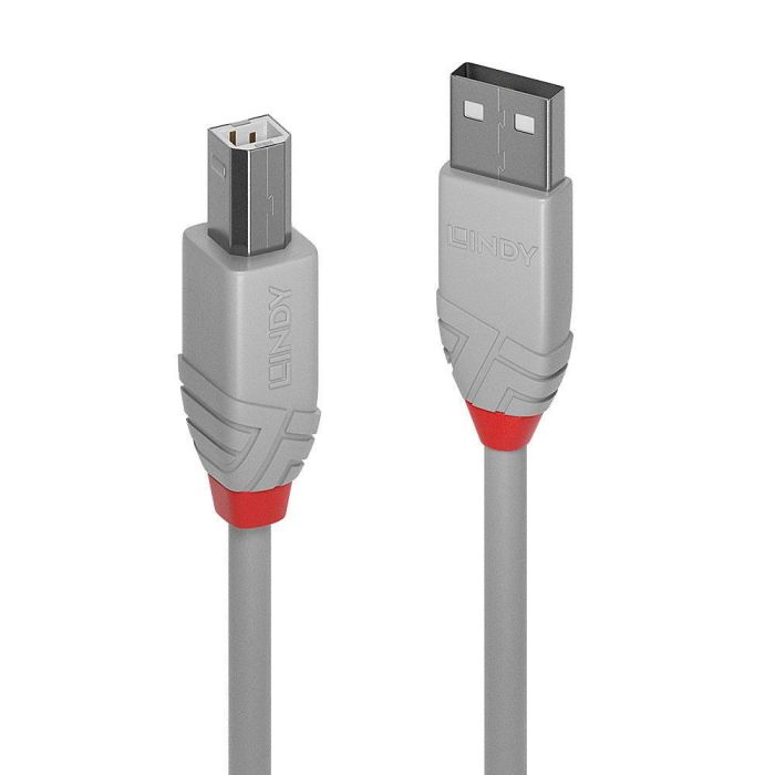 Cavo USB 2.0 A/B 1mt Lindy 36682 grigio main product photo