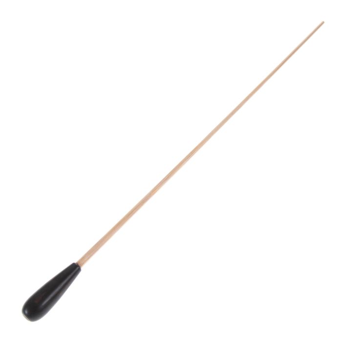 Bacchetta Direttore Takt N-535 15" 38cm betulla natural impugnatura ebano main product photo
