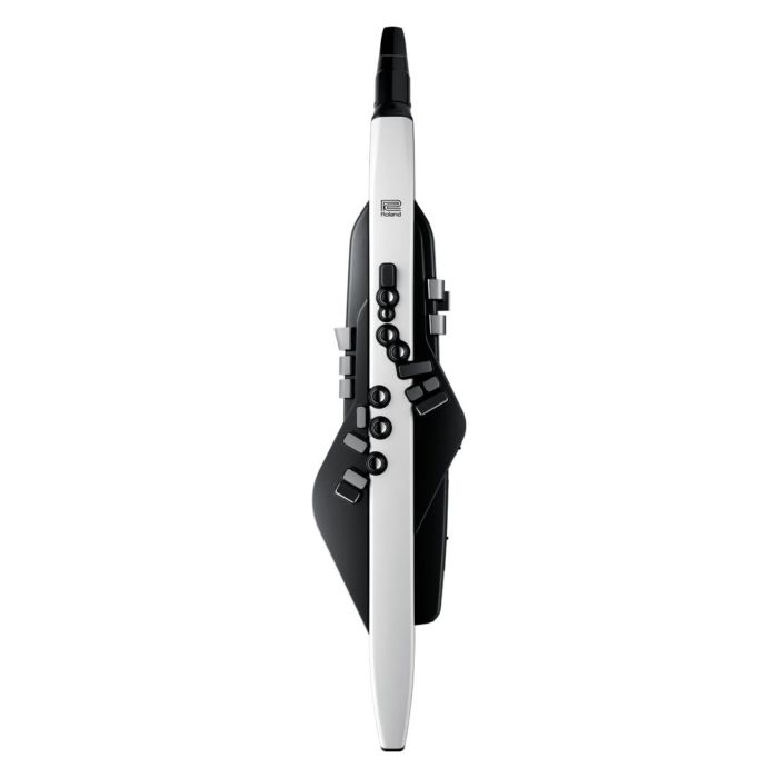 Strumento a fiato digitale Roland Aerophone AE-20 main product photo