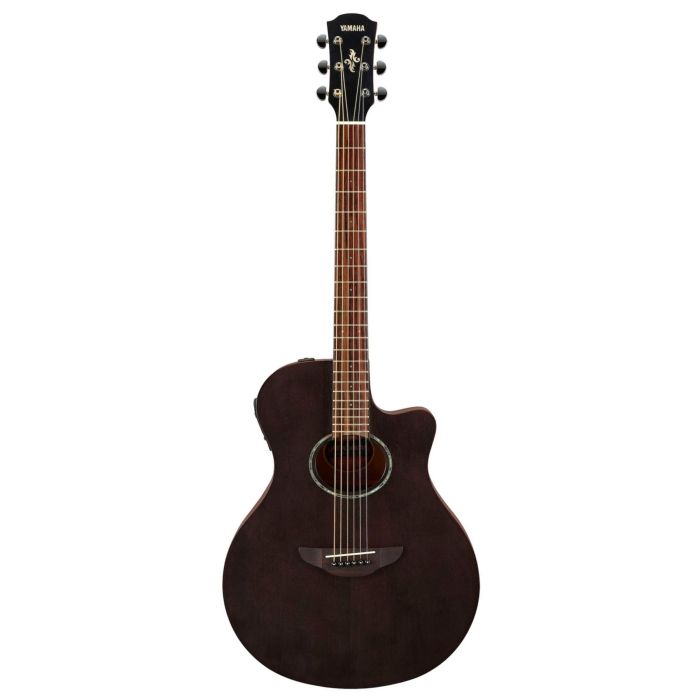 Yamaha APX 600M SMB main product photo
