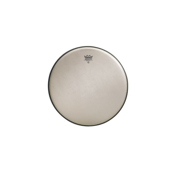 Remo RA-0008-SS main product photo