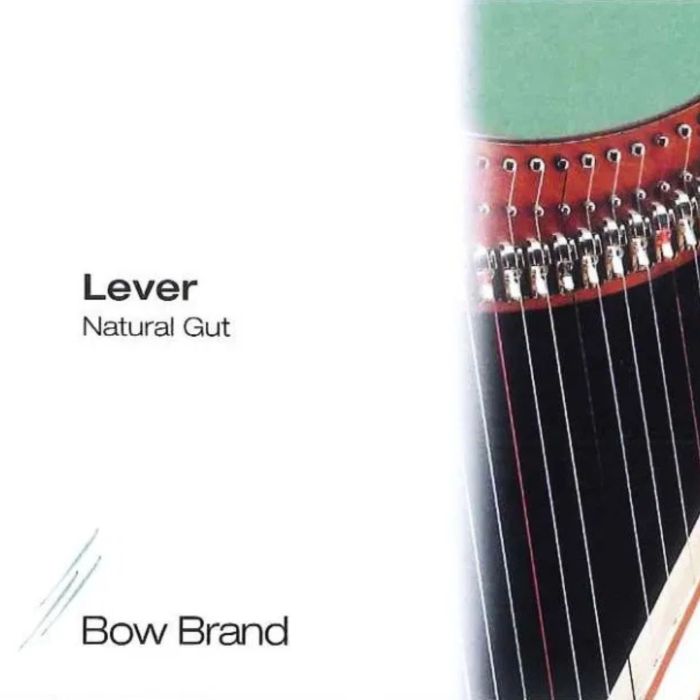 Corda Arpa Celtica Bow Brand 5 ottave n.30 D RE in budello main product photo