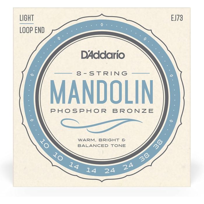 D`Addario EJ73 main product photo