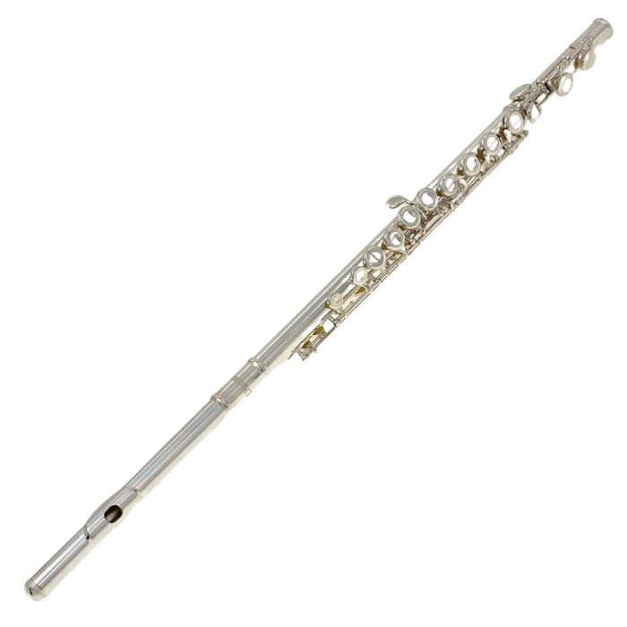Richter FL 302 S main product photo