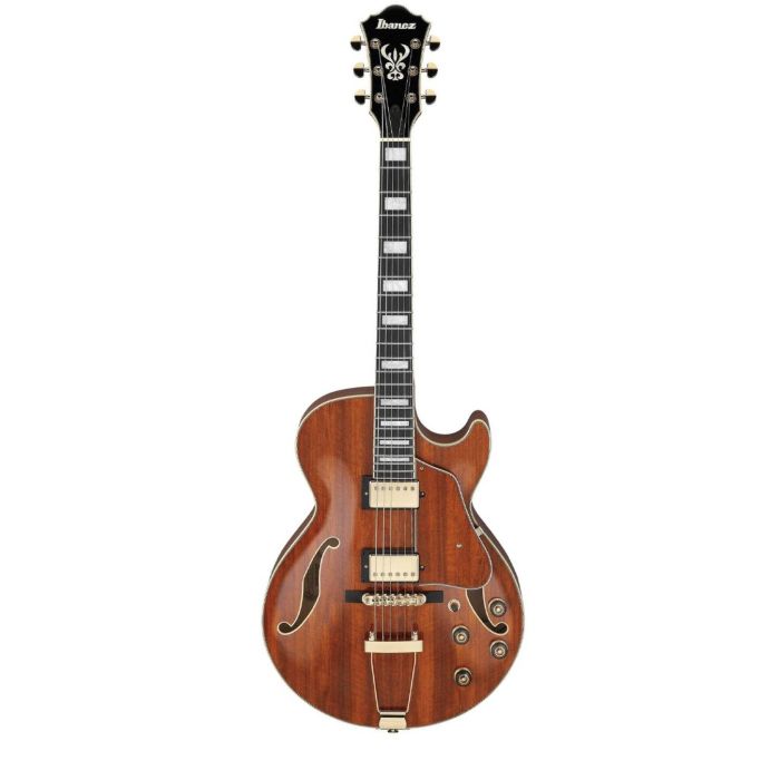 Ibanez AG95KNT main product photo