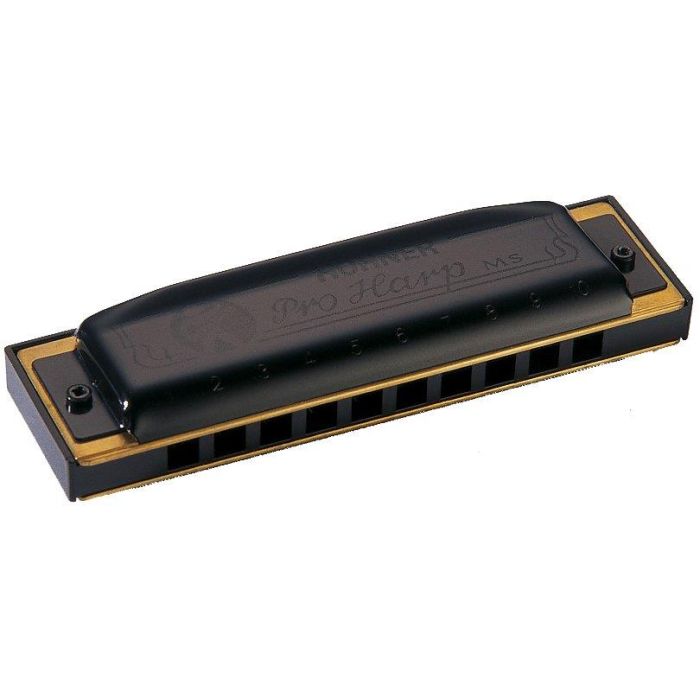 Armonica Hohner Pro Harp LA 562/20 A main product photo