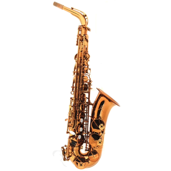 Sax Alto Rampone & Cazzani Performance laccato con custodia main product photo
