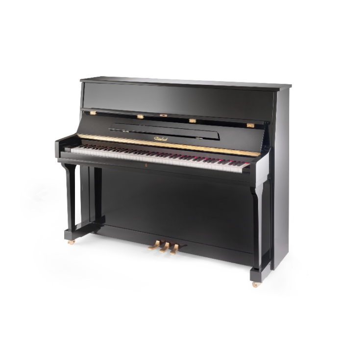 Steinbach 115 nero lucido main product photo