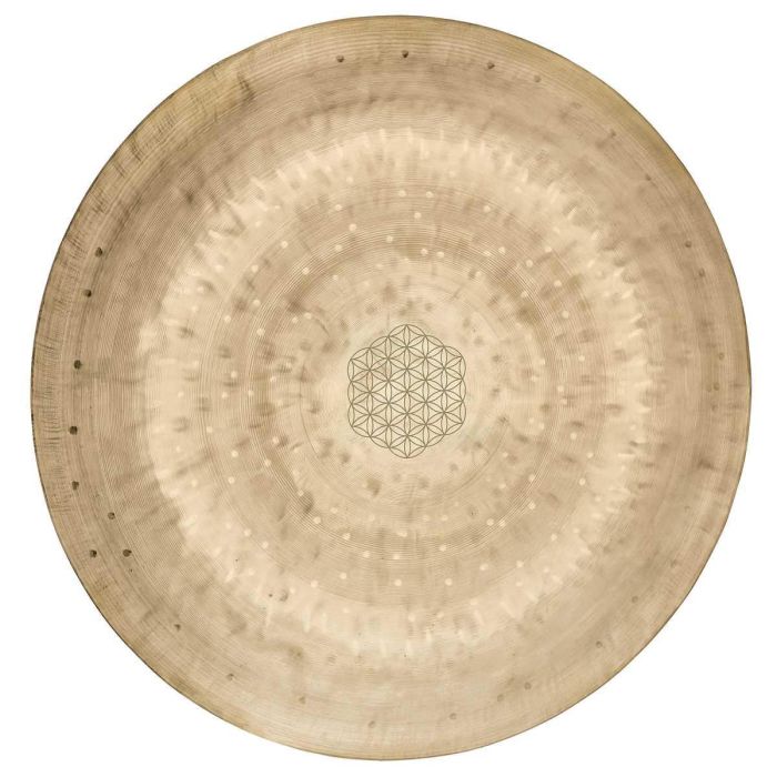 Meinl Sonic Energy WGFOL12 main product photo