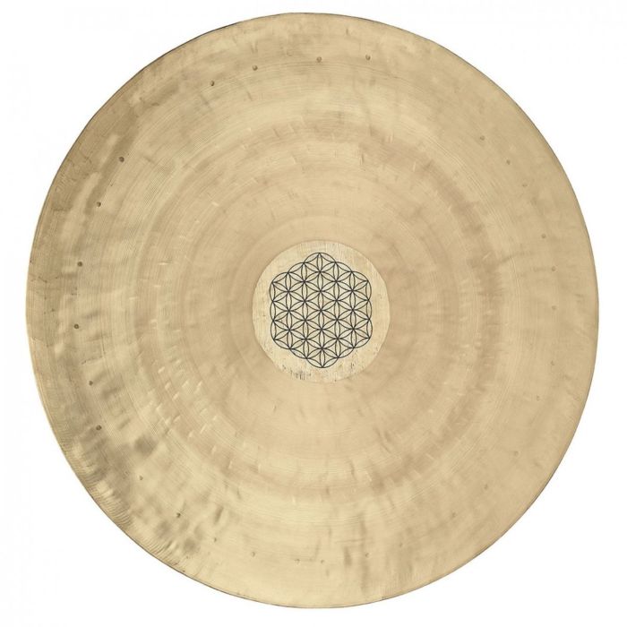 Wind Gong Meinl Sonic Energy 20" WGFOL20 Flower of Life con battente main product photo