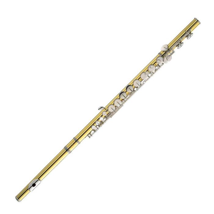 Flauto Alto Yamaha YFLA 421 02 main product photo